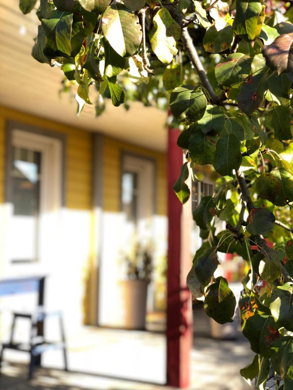 Guest House Mr Fox 드루스키닝카이 외부 사진